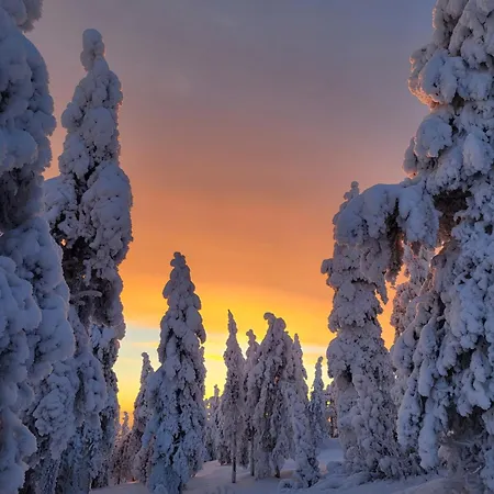 Two Bedroom Right Next To Santapark * Rovaniemi